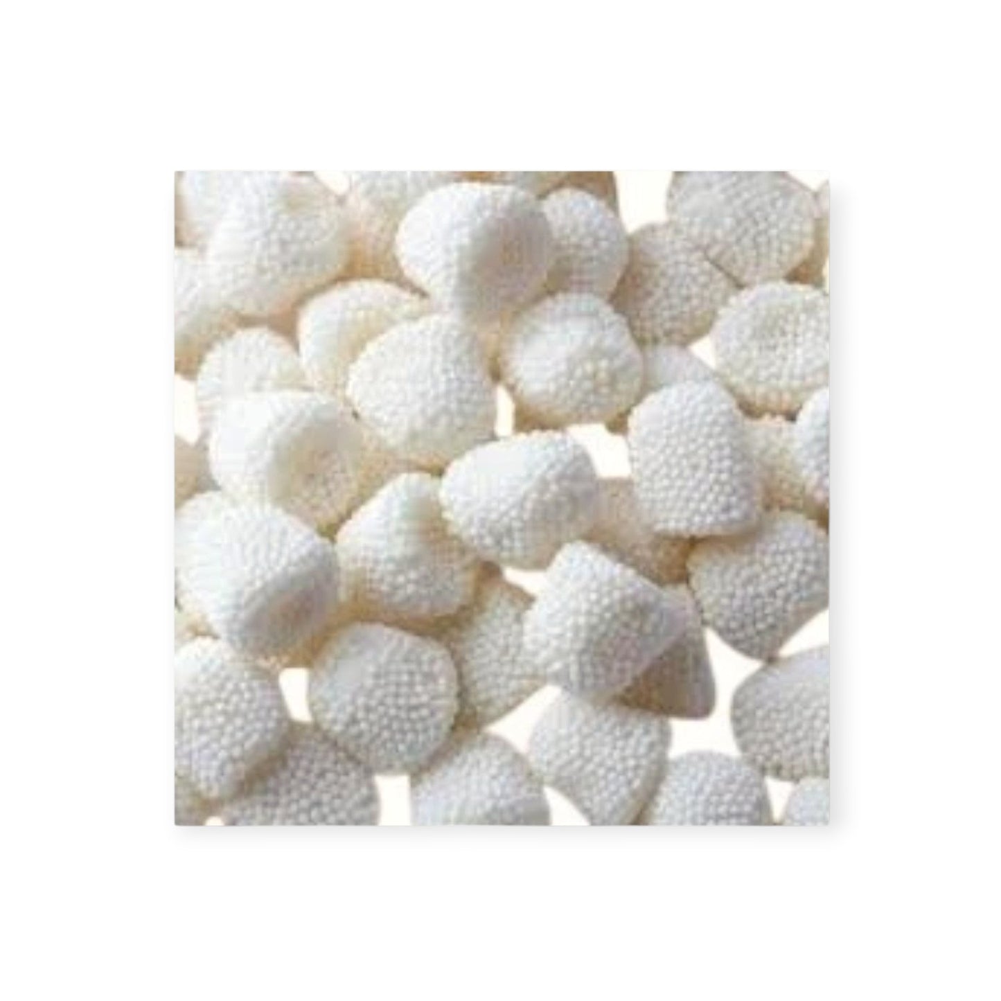 Everly JAK Champagne Bubbles Gourmet Confectionery