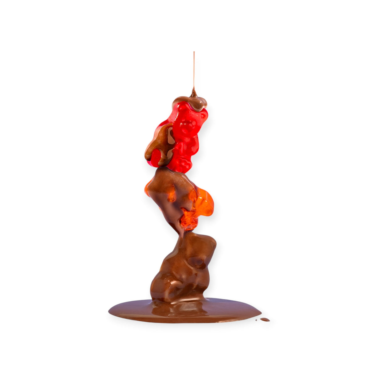 Everly JAK chocolate coated gummi bears