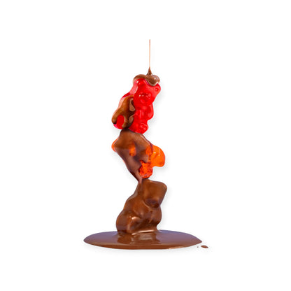Everly JAK chocolate coated gummi bears